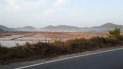 Photos of 백령종합운동장