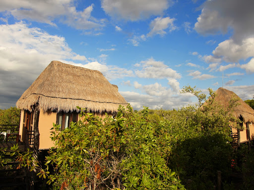Hotel Manglex