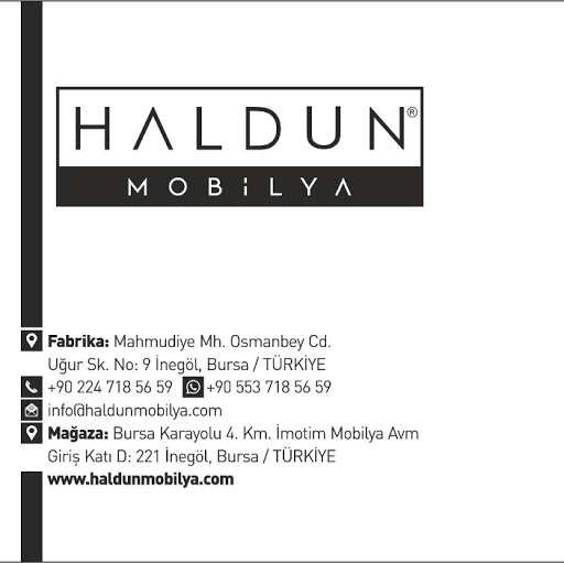 Haldun Mobilya logo