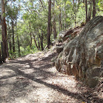 Rocky outcrop beside trail (234857)