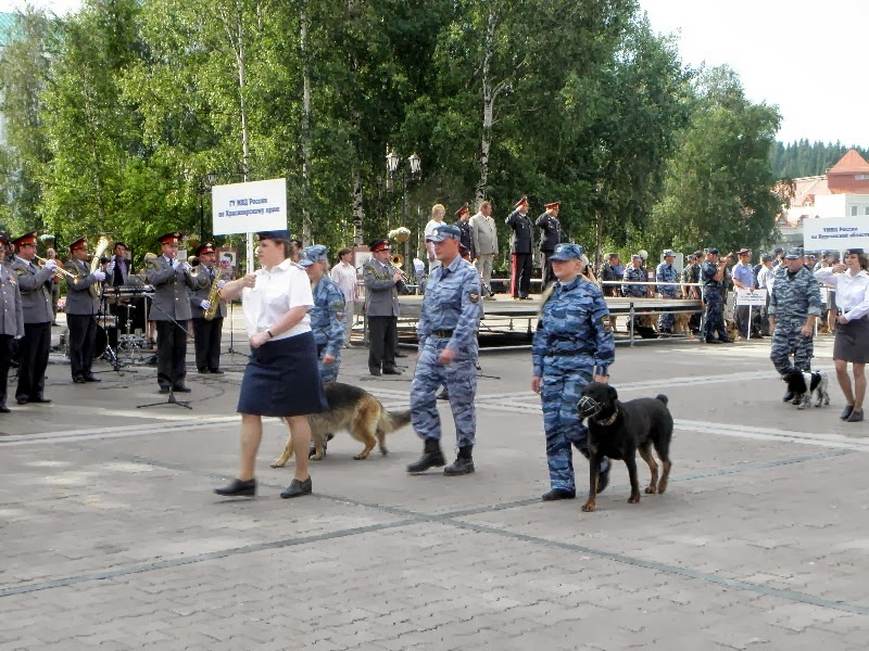 Фото день кинолога