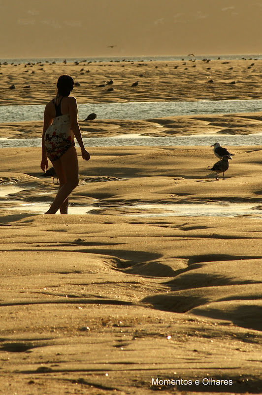 Fim de tarde em Troia