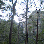 The cliffs surrounding the servicetrail (39523)