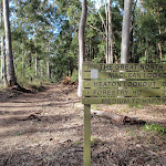 Signpost near Macleans Lookout on the Great North Walk (62204)