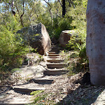 Track north of Banggarai Creek (352742)