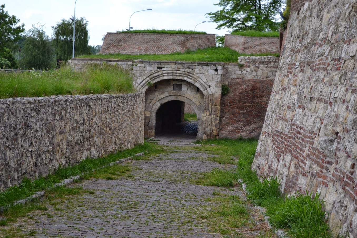 DSC_0943.JPG