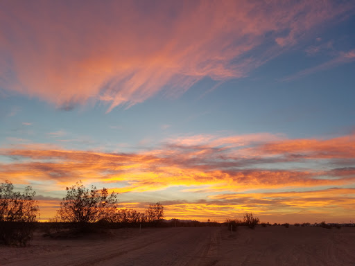 North Algodones Dunes Wilderness Area