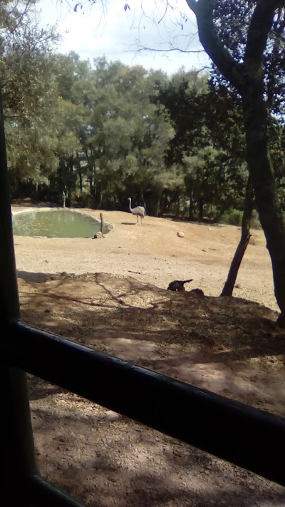 Photos of Parque Aviacuatico los Manantiales
