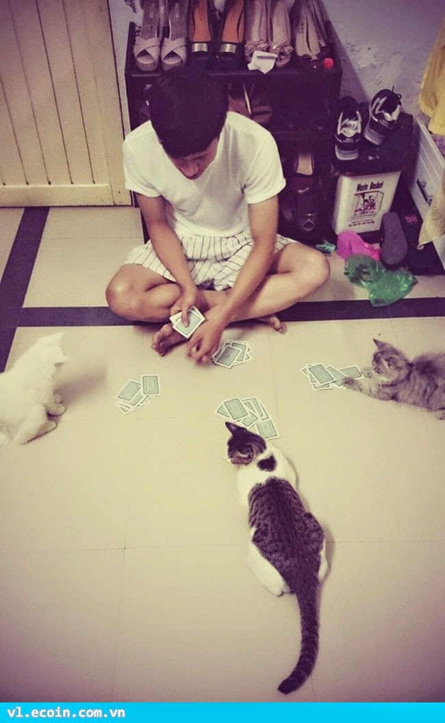 Chúng nó rủ e chơi bài :((