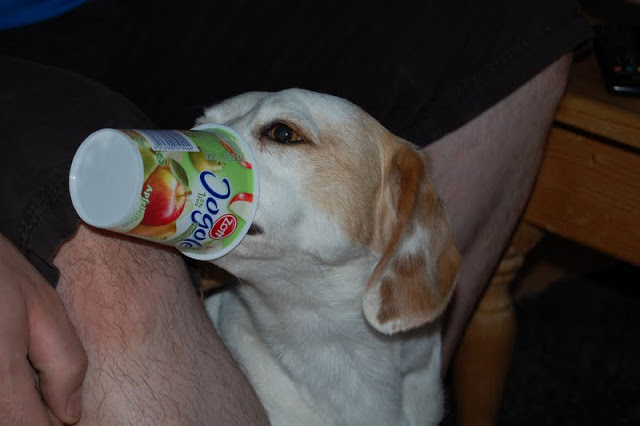 DSC_0094.JPG