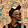Amir Hossein Masoudi Amir Hossein Masoudi's profile photo