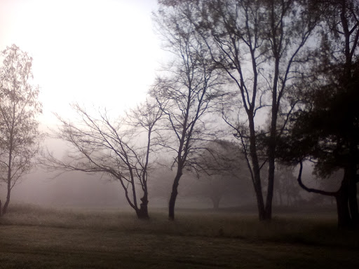 Golf de Saint Germain
