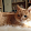 Barbara Sandi Barbara Sandi's profile photo