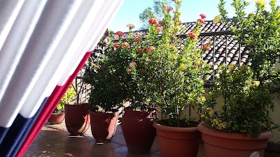 Photos of Hotel San Juan de Leon