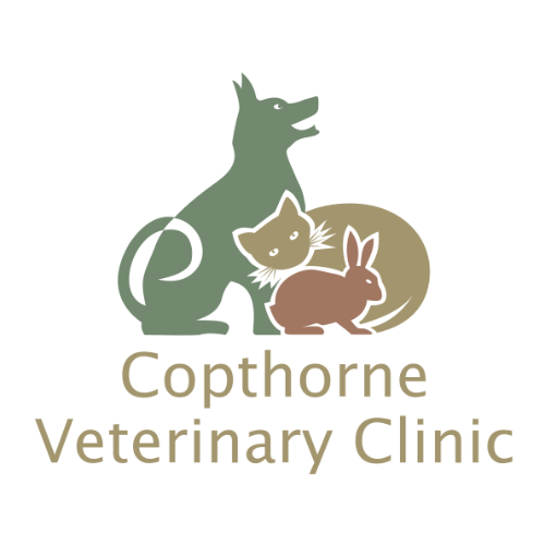Copthorne Vet Clinic logo