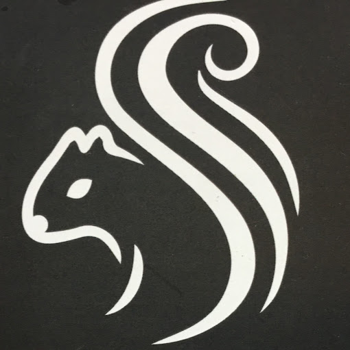 The Squirrel logo