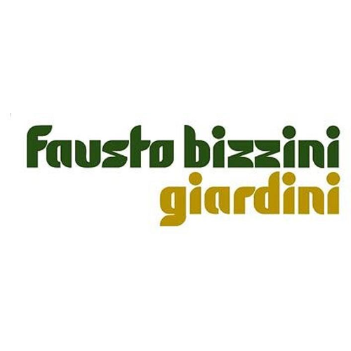 Bizzini Fausto SA logo
