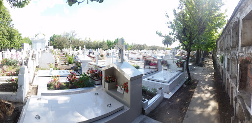 Cementerio Municipal, Teniente Tomás Yávar 0161, San Carlos, Región del Bío Bío, Chile, Cementerio | Bíobío