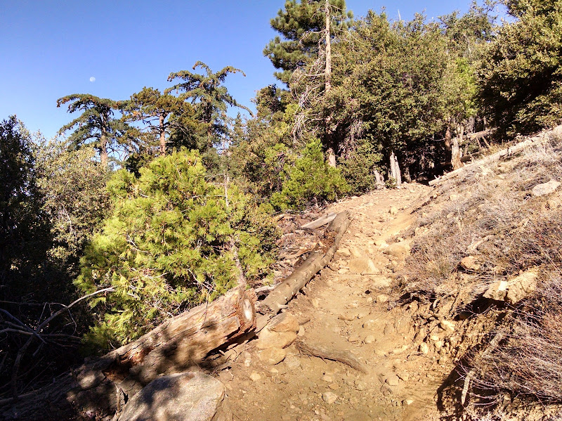 Mount San Gorgonio • Vivian Creek Trail