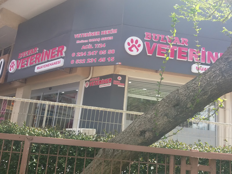 Bulvar Veteriner Kliniği