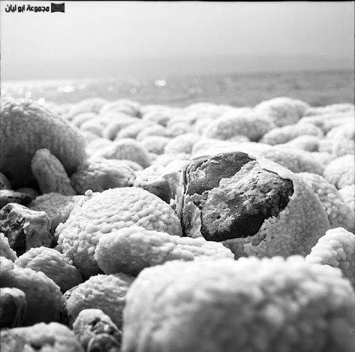  عشر حقائق عجيبة عن البحر الميت 7227899762_0ffe062105_z