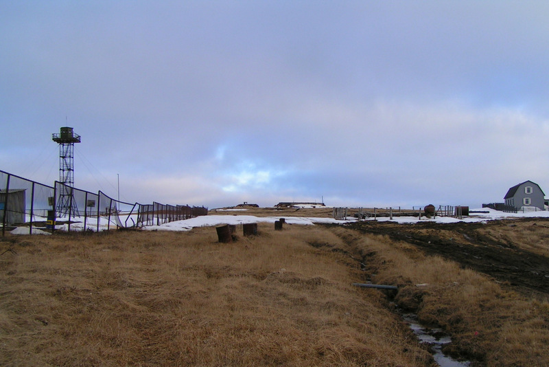 Остров колгуев поселок бугрино Остров колгуев поселок бугрино