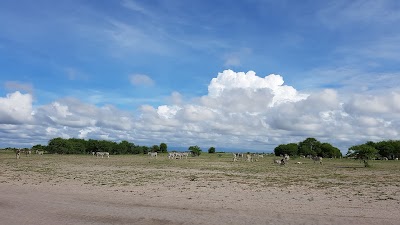 Photos of South camp Nxai Pan