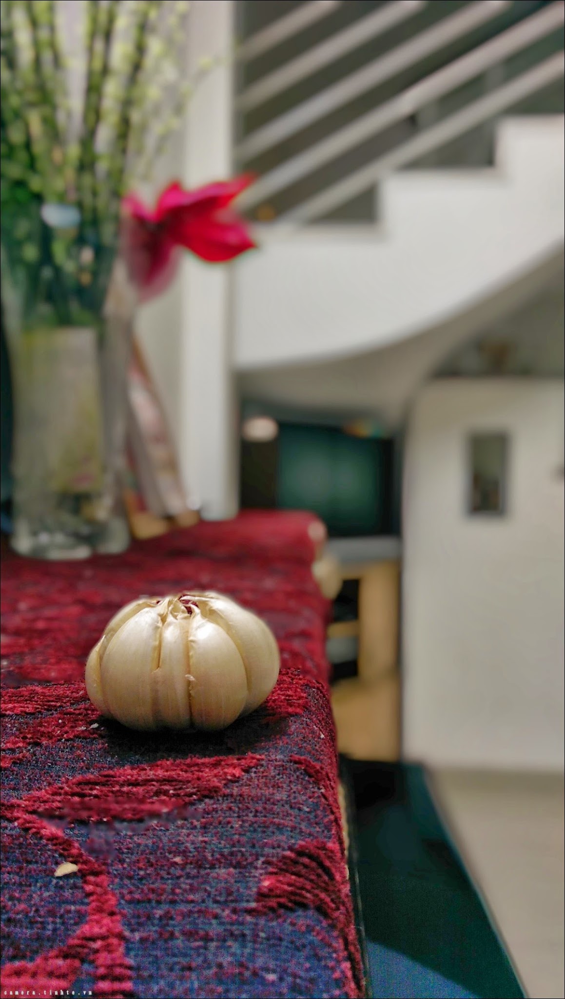 IMAG0230_1.
