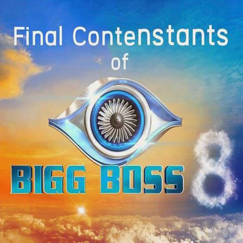 Bigg Boss 8 Contestants