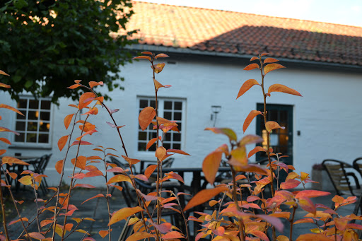 Arkadia & Torgkaféen