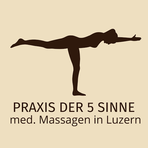 Praxis der 5 Sinne - Medizinische Massagen Luzern logo