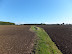 Footpath across the fields to Coombes Wood