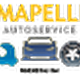 Mapelli Autoservice Sas Di Mapelli Maurizio