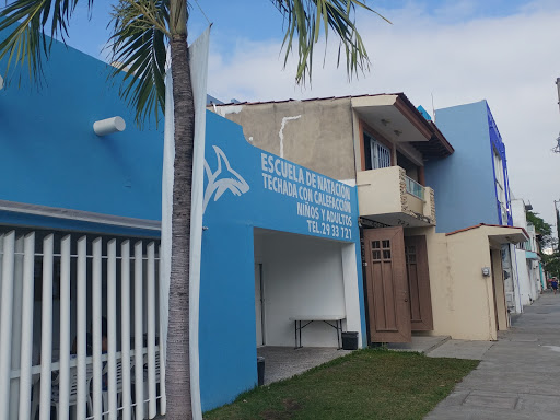 Acuática Escualos, Av. De Los Tules 309, Jardines de Vallarta, 48328 Puerto Vallarta, Jal., México, Club de natación | JAL