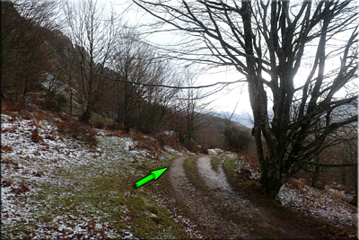 Pista, seguimos de frente Pista, seguimo de frente