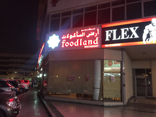 Flex Gym, 65 44c St - Dubai - United Arab Emirates, Gym, state Dubai