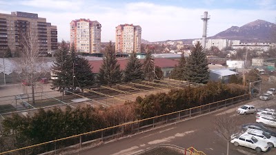Photos of Dekorativnyye Kul'tury, Zao - Tsvetochnaya Rassada, Khvoynyye Derev'ya I Kustarniki - Vyrashchivaniye