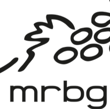 Margaret River Bride & Groom logo