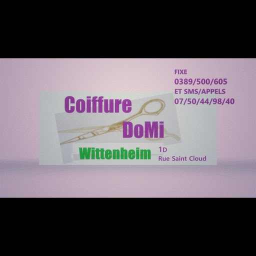 Coiffure Domi logo