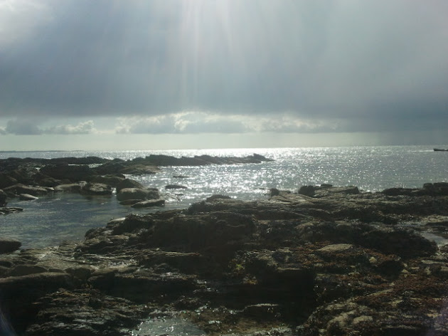 Cover photo
