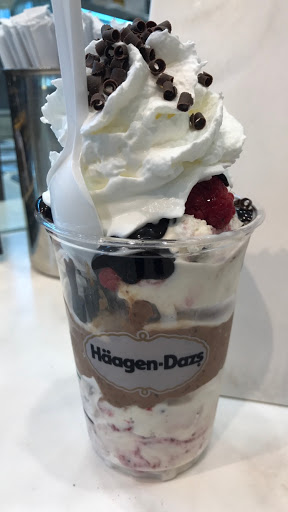Ice Cream Shop «Haagen-DazsÂ® Ice Cream Shop», reviews and photos, 2223 N Westshore Blvd, Tampa, FL 33607, USA
