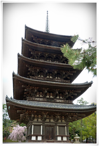 Nara: (más) ciervos sagrados y 10 minutos de fama - Japón es mucho más que Tokyo (2)