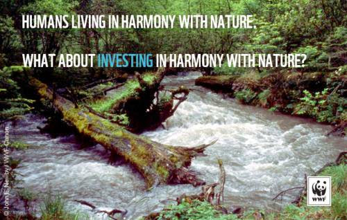 Can We Invest In Harmony With Nature