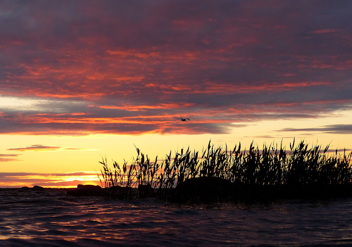 crepuscule%2Bsterne%2Broseaux%2Beau%2Bhietasaari%2BP1310094.JPG