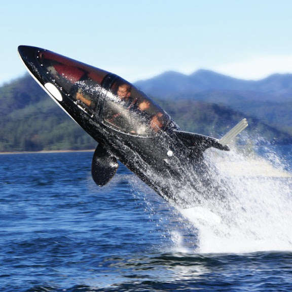 Sameera S Blog Innespace S New Orca Inspired Seabreacher Why Ask Y