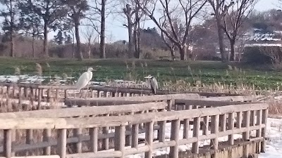 Photos of Uwasekigata Park