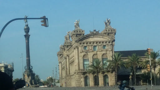Centre Natació Mataró