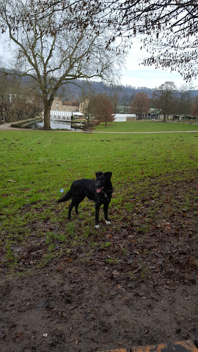 Parc de la Grande Maison