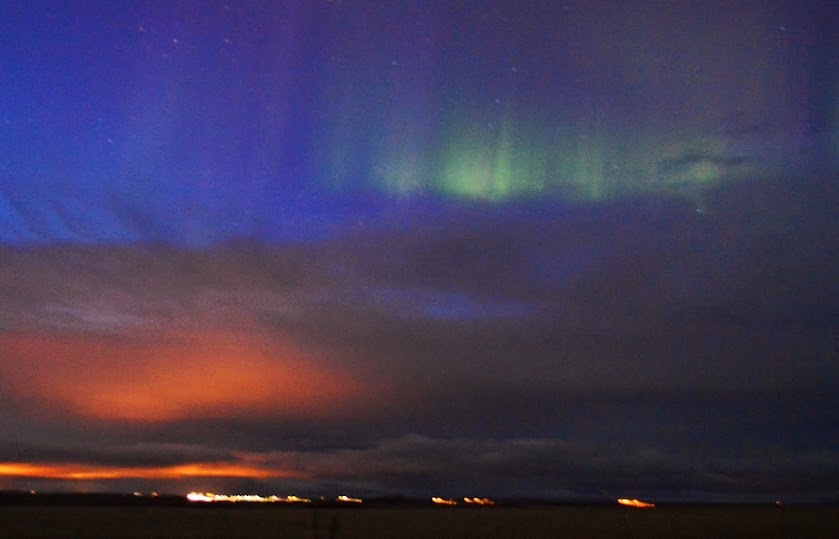 ISLANDIA POR LOSFRATI - Blogs of Iceland - JOKULSARLON GLACIER LAGOON (31)