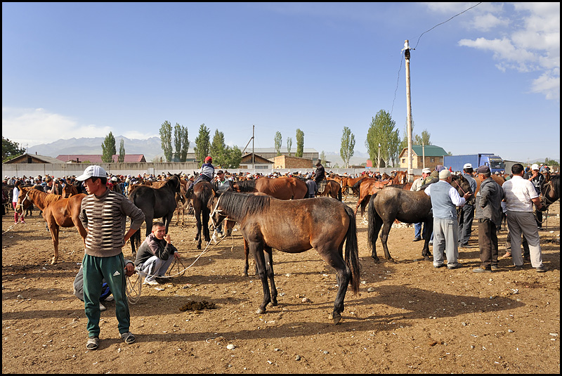 Kirghizstan : des steppes aux Monts Célestes [MAJ 16/09] - Page 2 DSC_9619%2520raw-794%252Bcadre